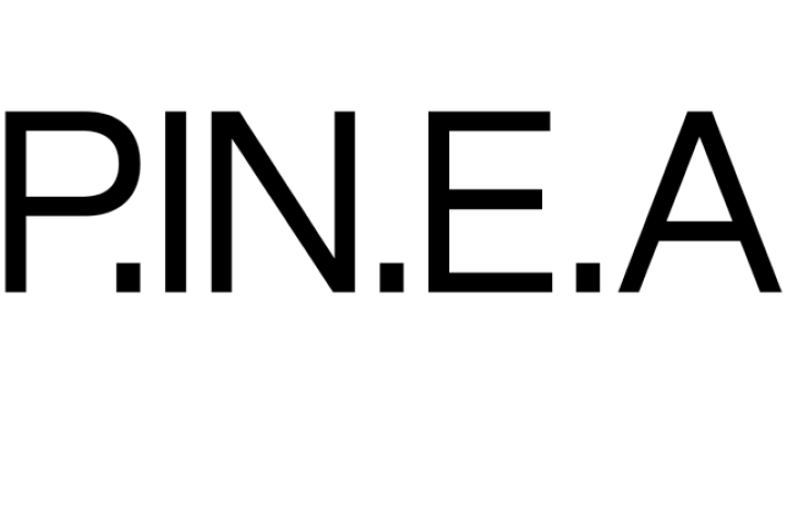Schiftzuglogo der Zeitschrift P.IN.E.A.