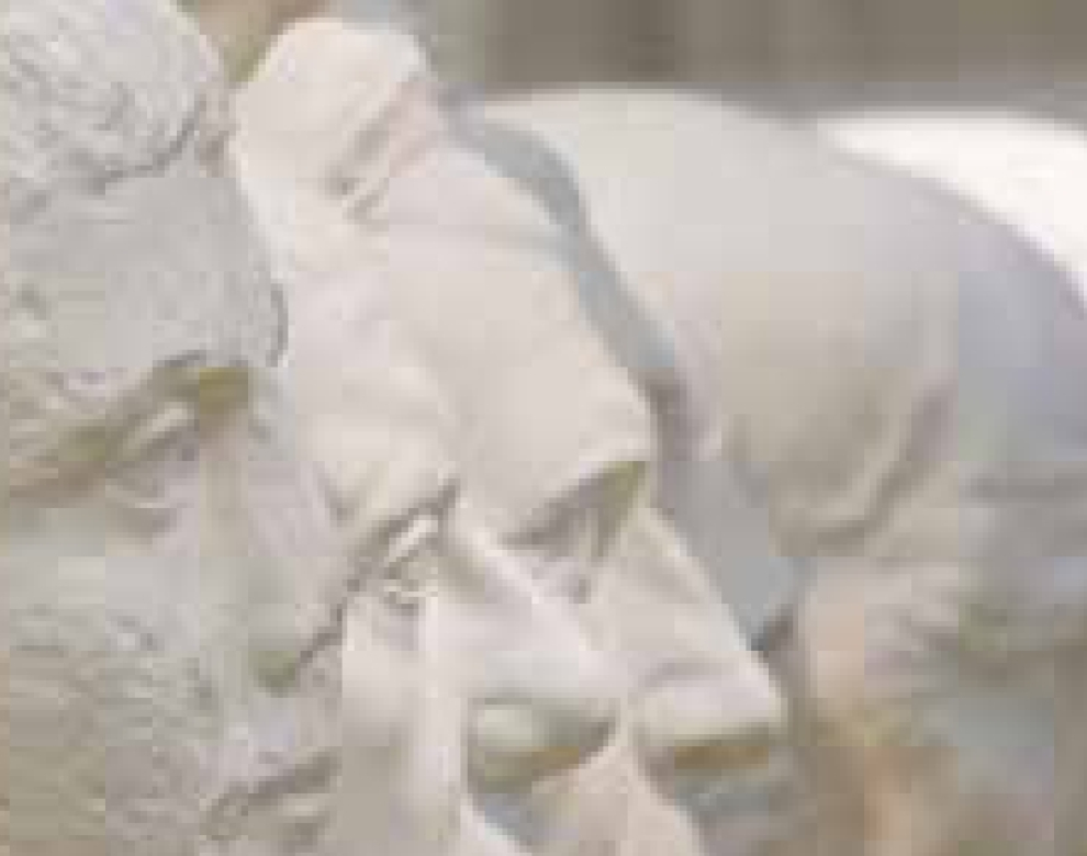 Mehrere Köpfe von Marmorskulpturen im Profil